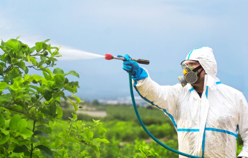 Commercial Fumigation in Fayetteville, NC