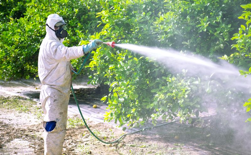 Commercial Fumigation in Davis County, UT
