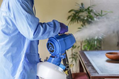 Fumigation Service in Franklin, TN