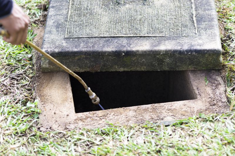 Rat Fumigation Service in Cumming, GA