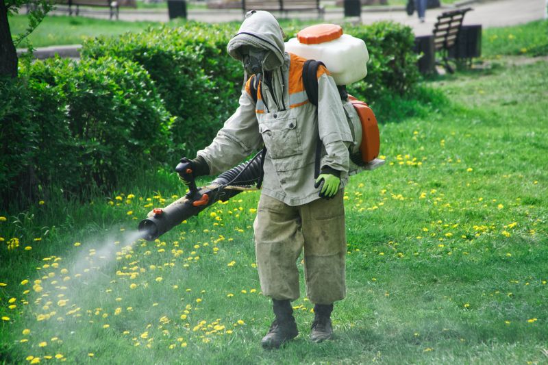 Stinging Insect Removal