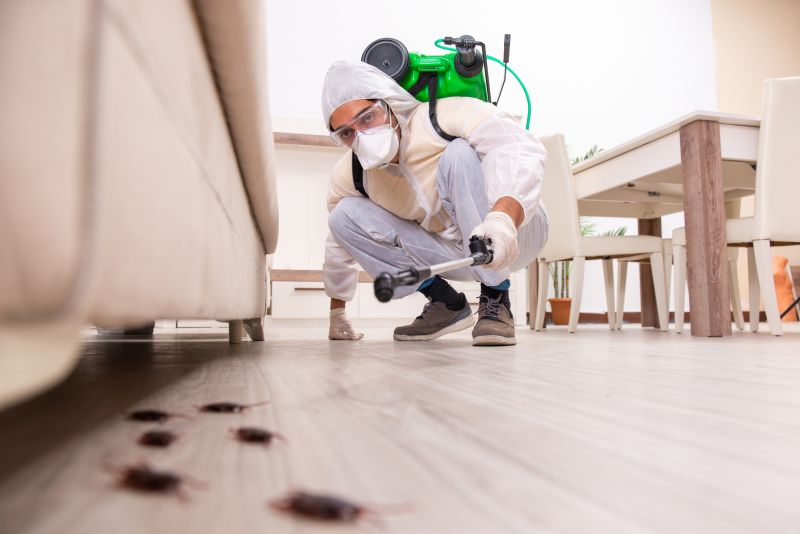 Extermination Service in Katy, TX