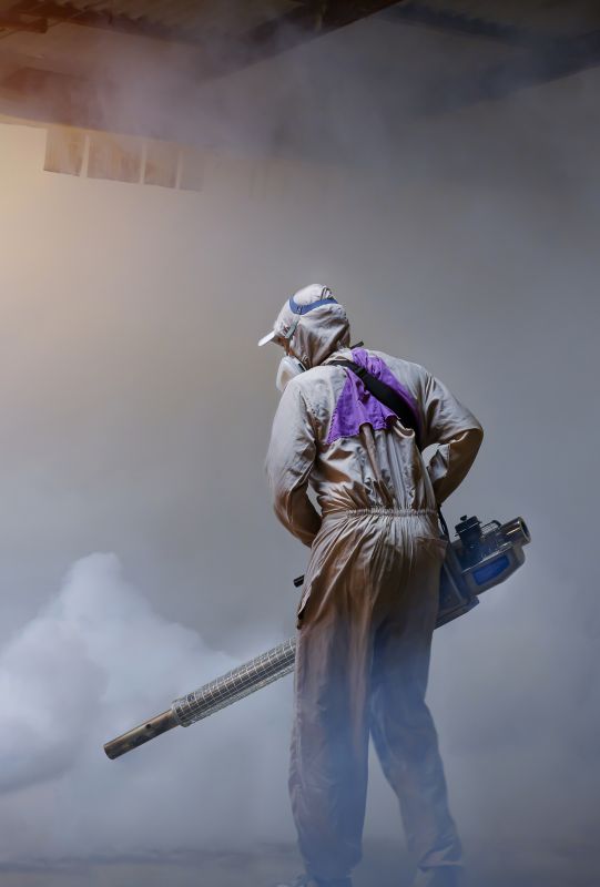 Fumigation Service in Katy, TX