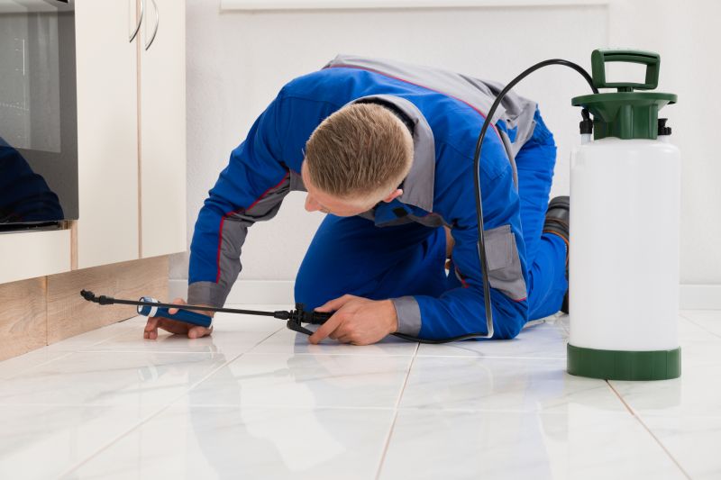 Ladybug Removal in Arlington, TX