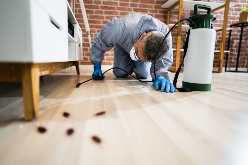 Pest Control Service in Frisco, TX
