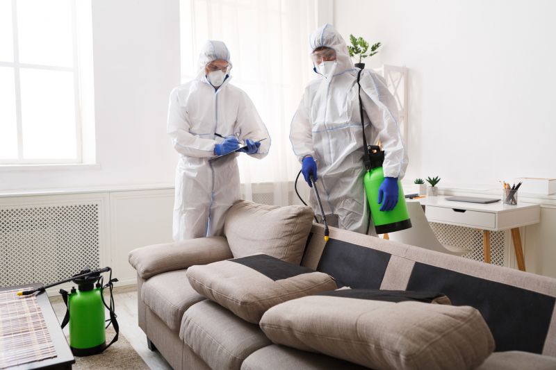 Pest Control Service in Frisco, TX