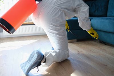 Roach Fumigation in Woodbridge, VA