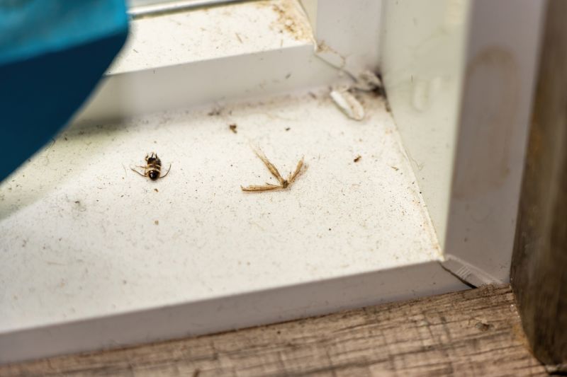 Material Picks that Last