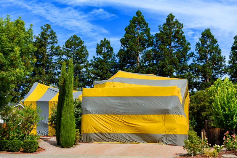 Termite Tenting in Fredericksburg, VA